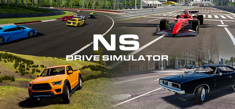 NS Drive Simulator
